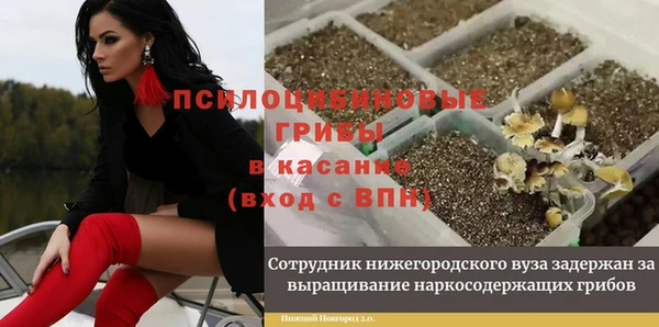 герыч Балахна